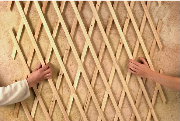 TRELLIWOOD Treillis extensible bois Bois