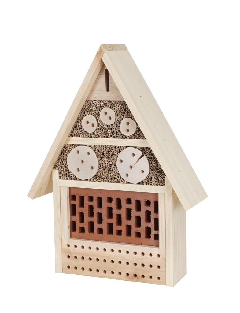 Grand Hotel d'Anthocor and Friends