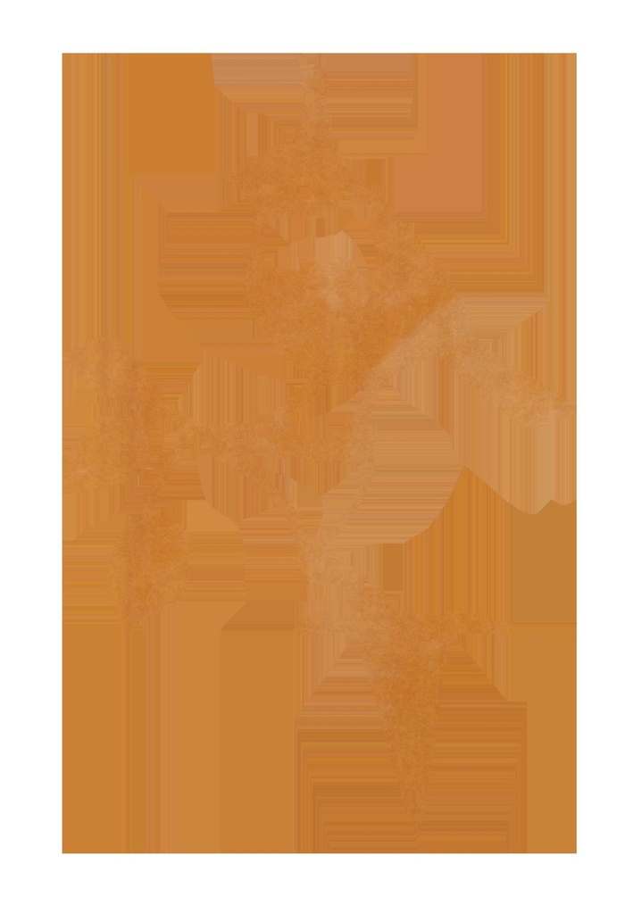 Mésange huppée à piquer