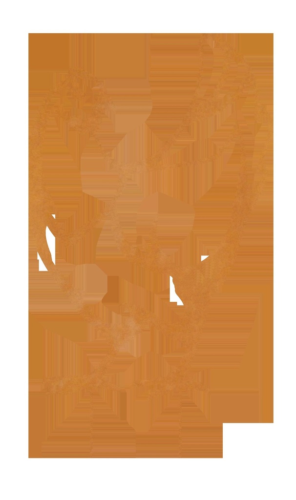 Poule à Piquer Komet