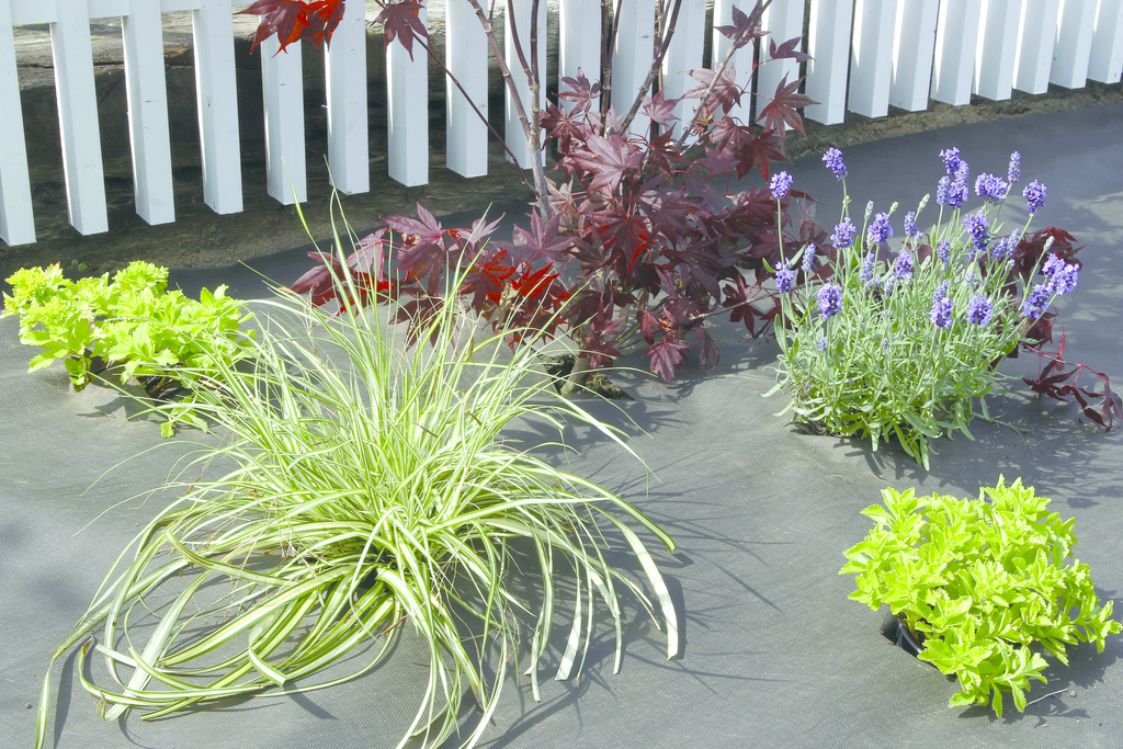 GEOTEX PLA  Feutre en matière plastique d'origine végétale