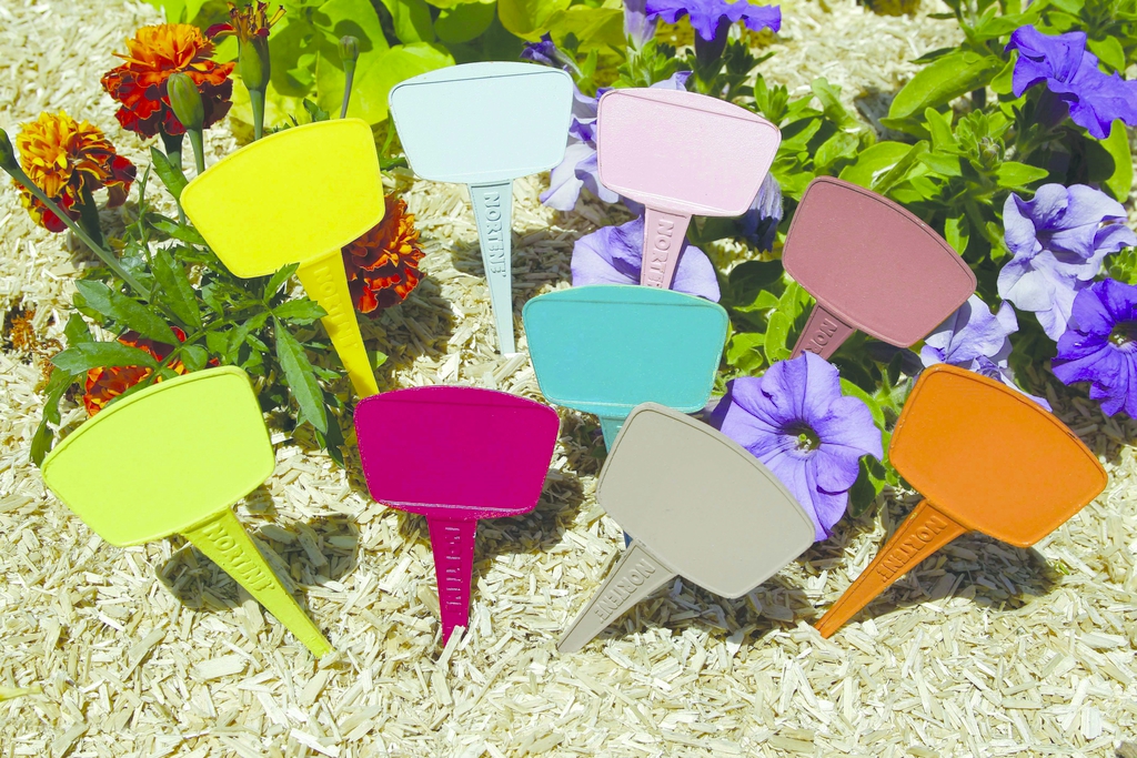 LABEL 15 COLOR  16 Etiquettes à planter de couleur.