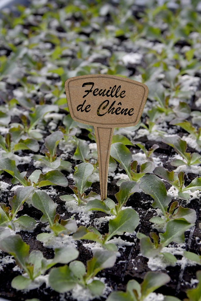 LABEL 15 FIB  10 Etiquettes à planter à base de fibre de Miscanthus.