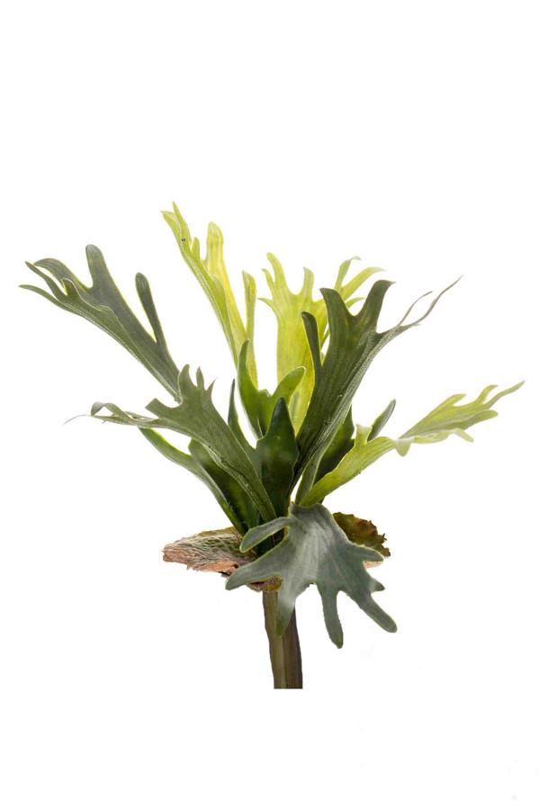 Platycerium à piquer artificiel