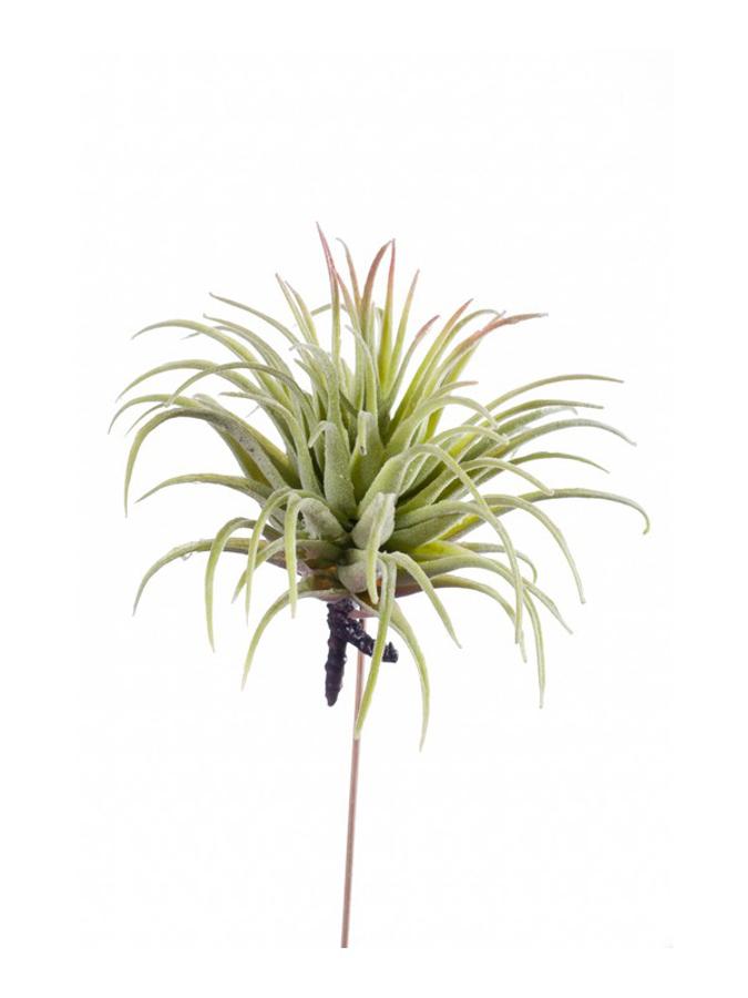 Tillandsia rubra à piquer artificiel