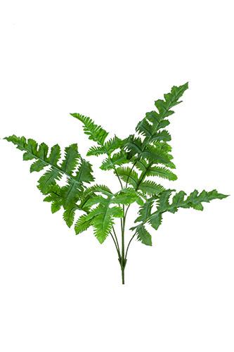 Phlebodium en branche artificiel