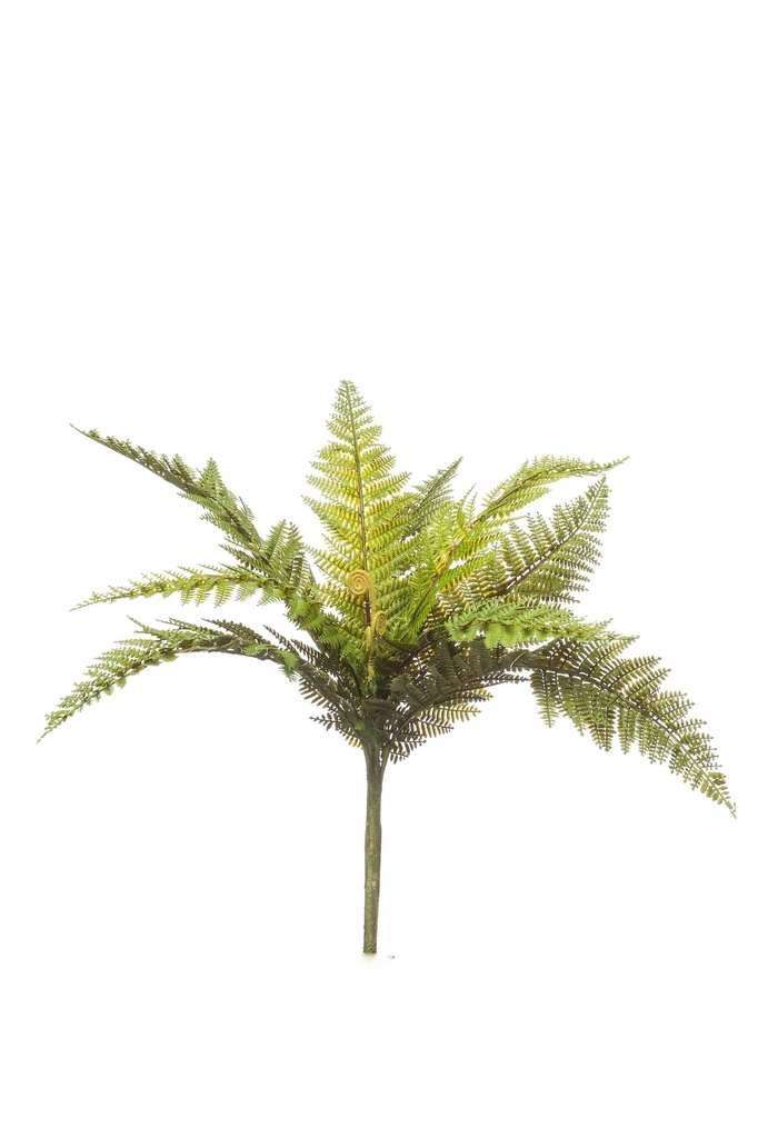 Branche de fougère verte 50 cm