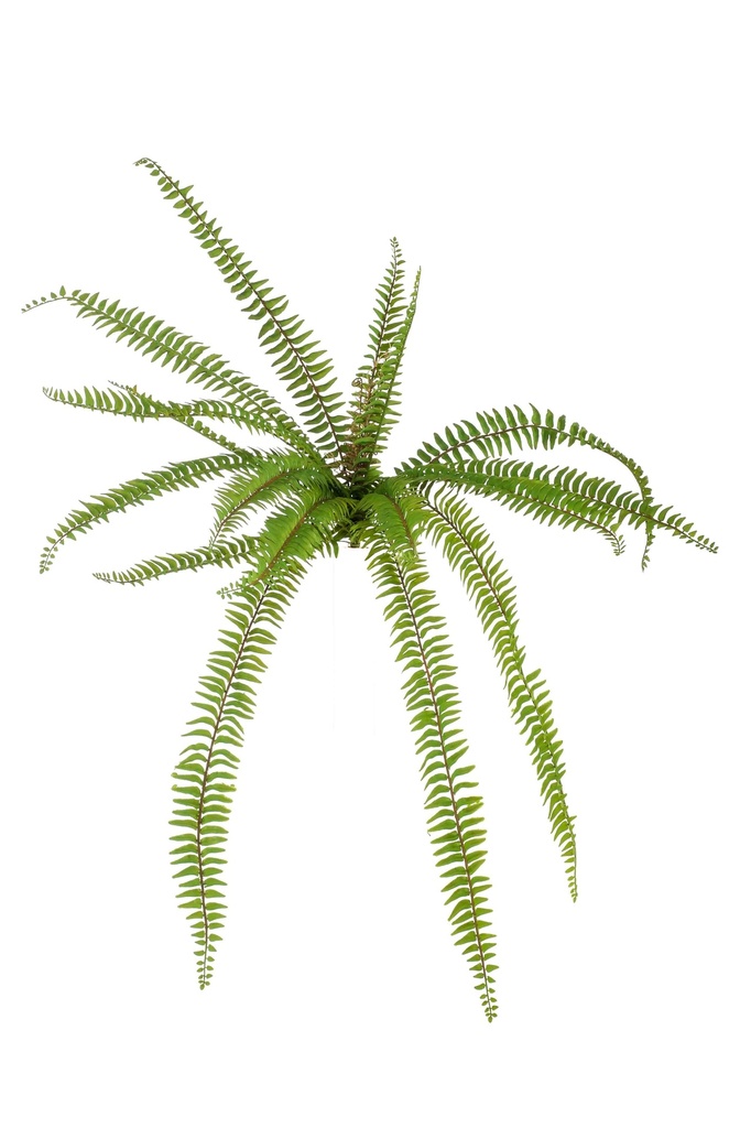 Fougère à piquer artificielle