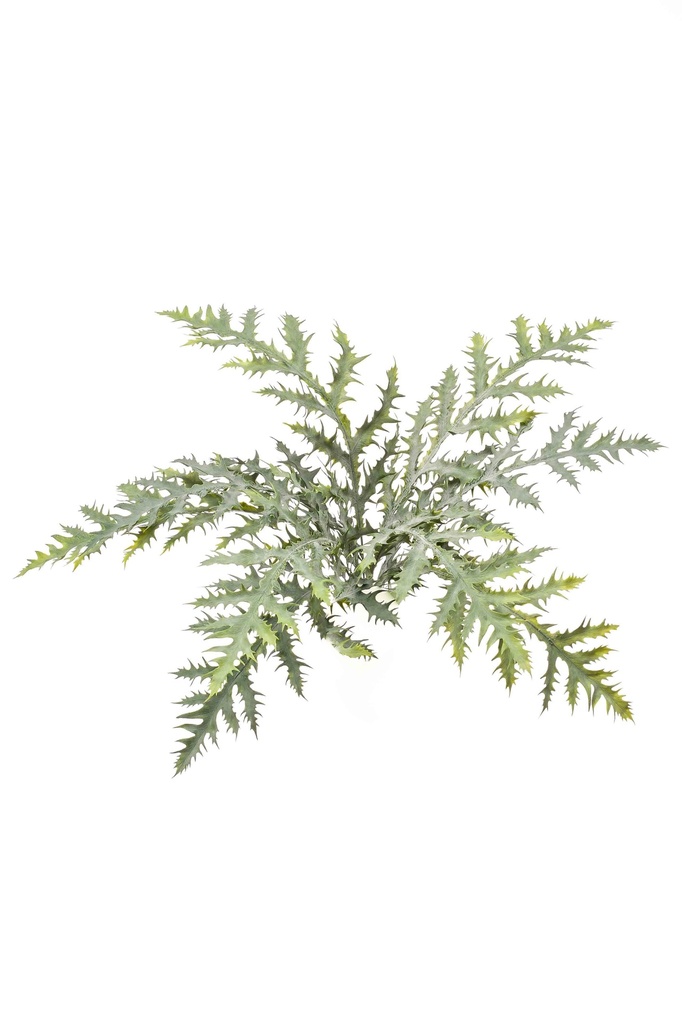 Branche de fougère forestière 50 cm