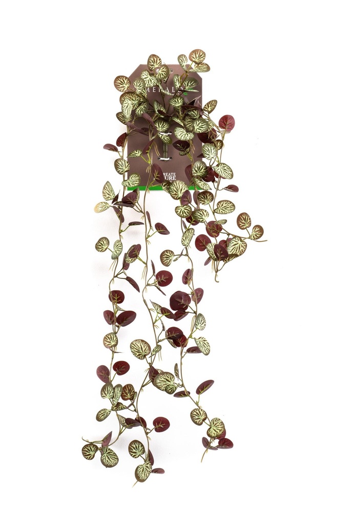 Saxifrage retombant artificiel