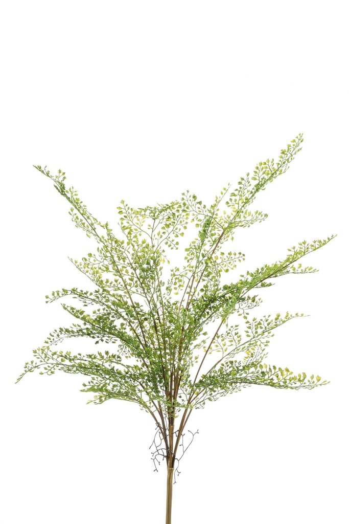 Adiantum à piquer artificiel