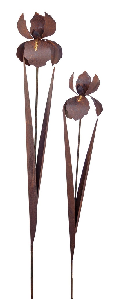 Iris sur tige à décor doré