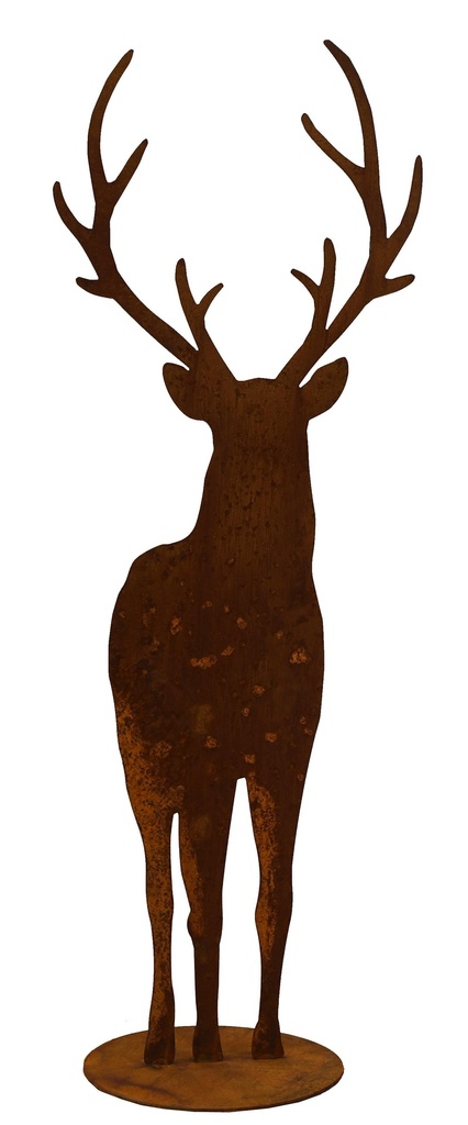 Cerf de face Saremo