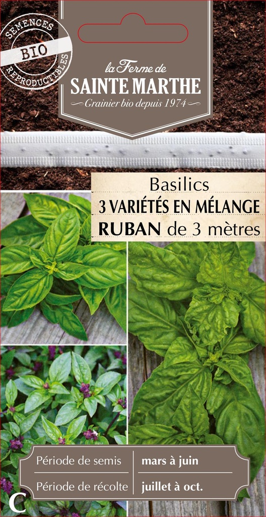 Basilics 3 Variétés En Mélange Cannelle, Géant Monstrueux, Grand Vert