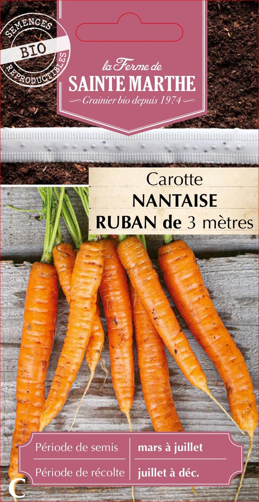 Carotte Nantaise 2