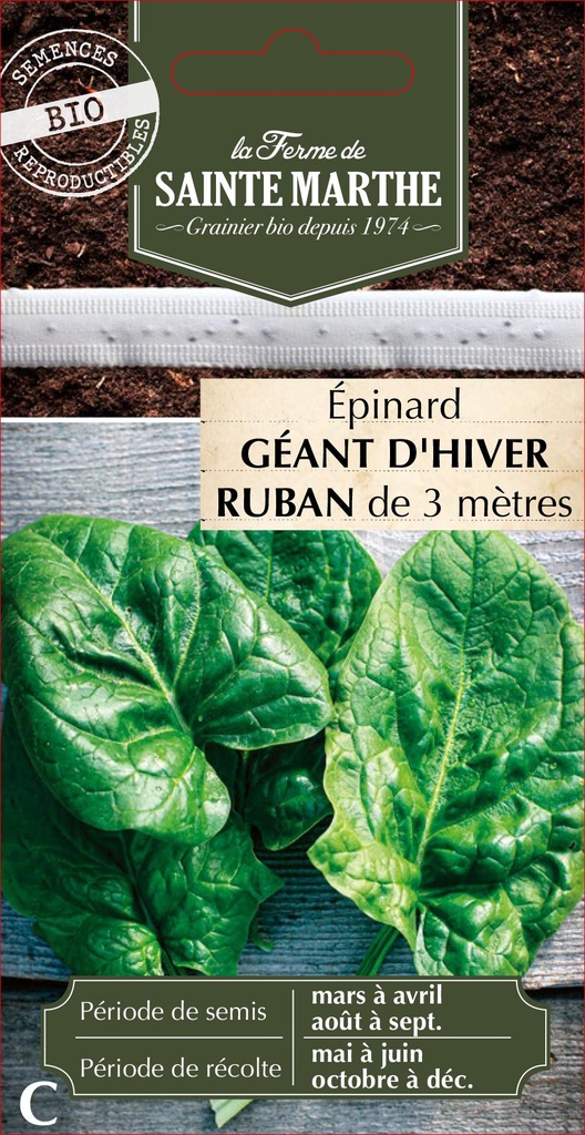 Épinard Géant D'Hiver