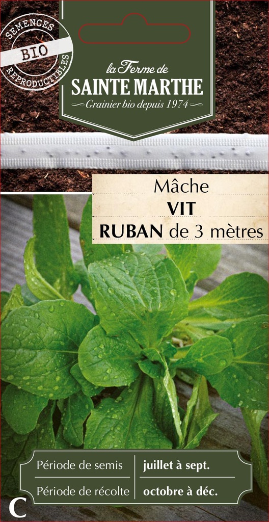 Mâche Vit