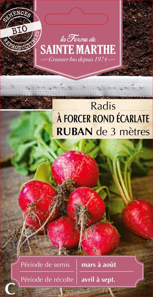 Radis À Forcer Rond Écarlate