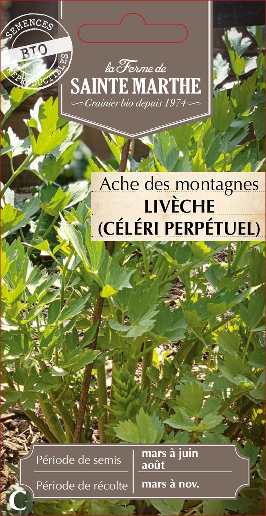 Ache Des Montagnes Livèche Ou Céléri Perpétuel