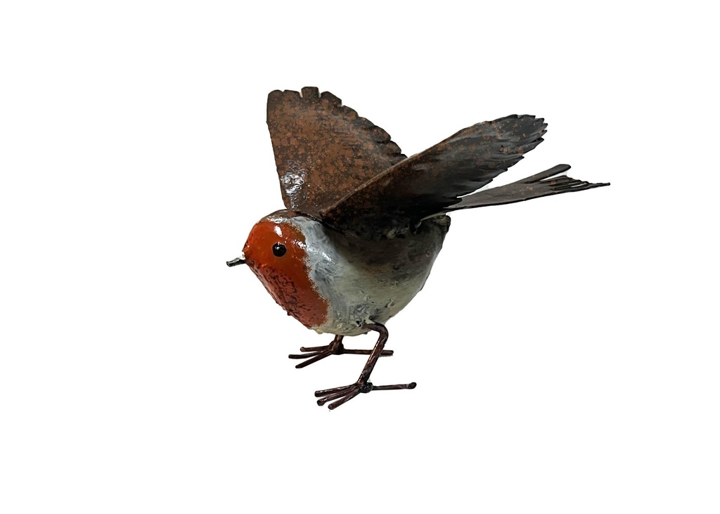 Rouge Gorge Ailes Ouvertes