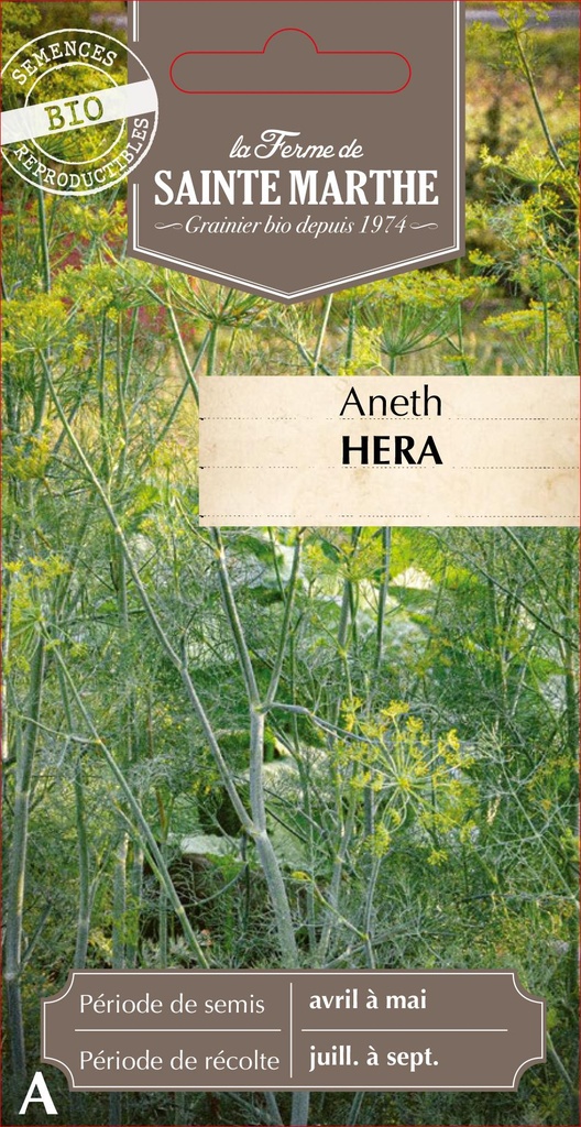 Aneth Hera