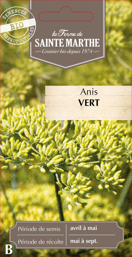 Anis