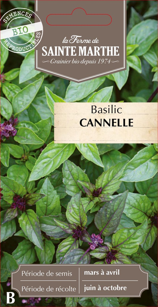 Basilic Cannelle