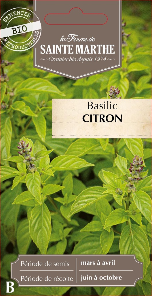 Basilic Citron