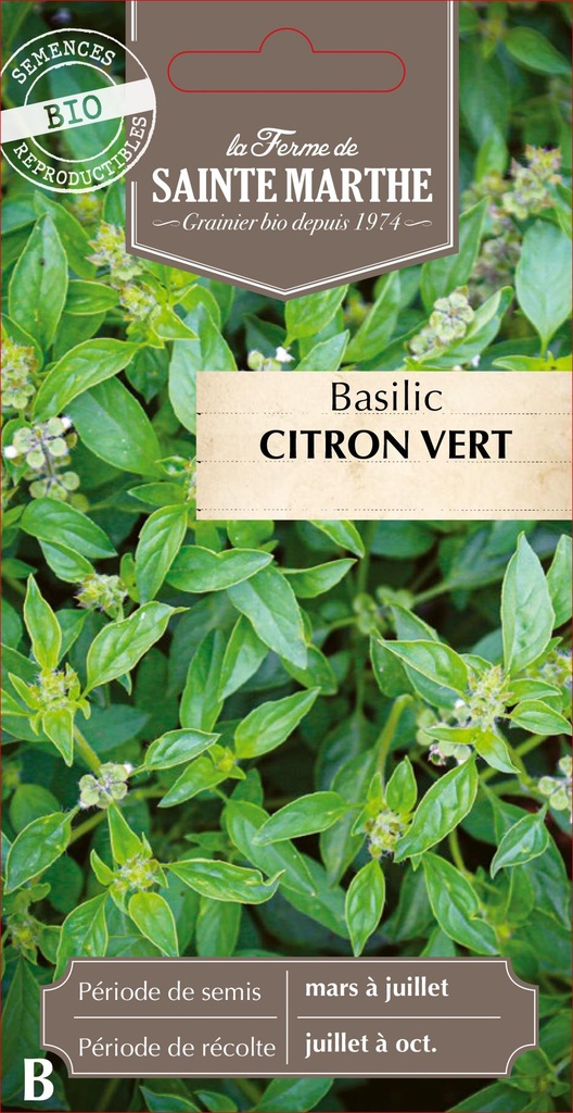 Basilic Citron Vert