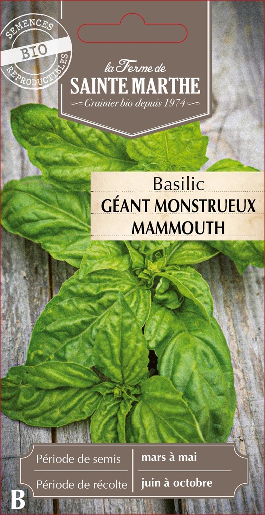 Basilic Géant Monstrueux Mammouth