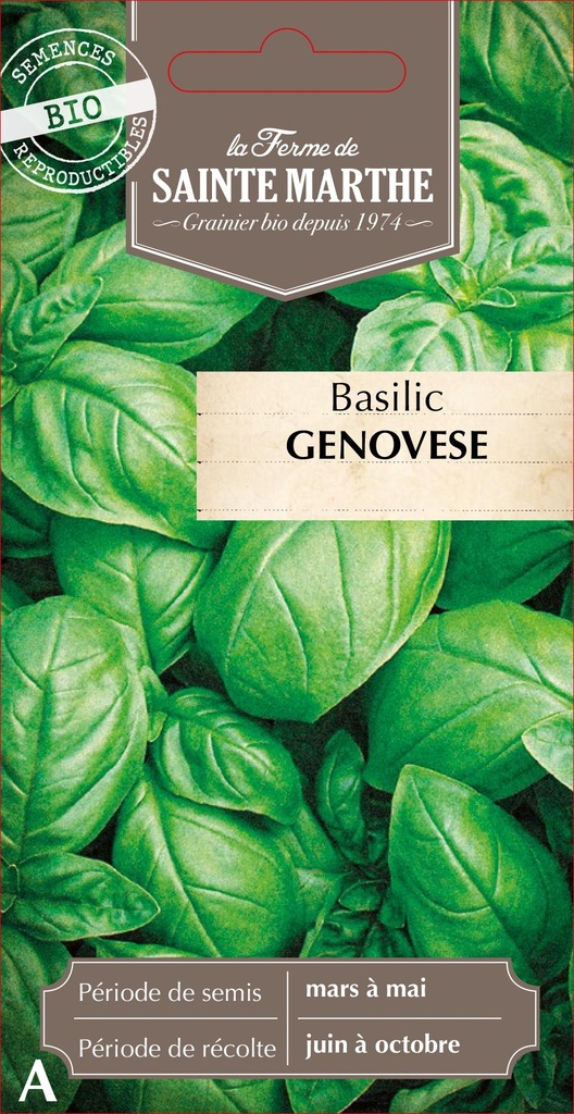 Basilic Genovese