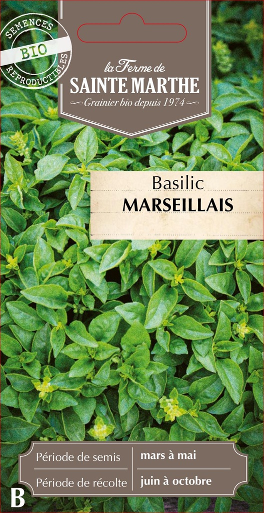 Basilic Marseillais
