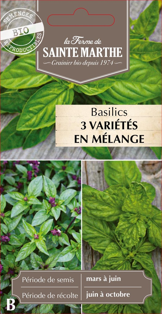 Basilics 3 Variétés En Mélange Cannelle, Géant Monstrueux, Grand Vert