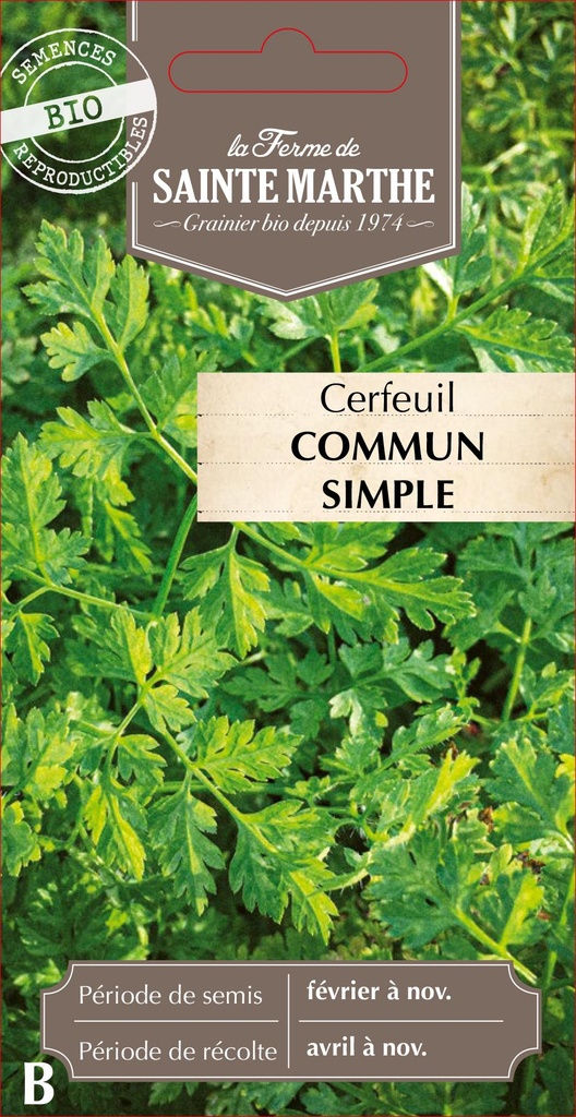Cerfeuil Commun Simple
