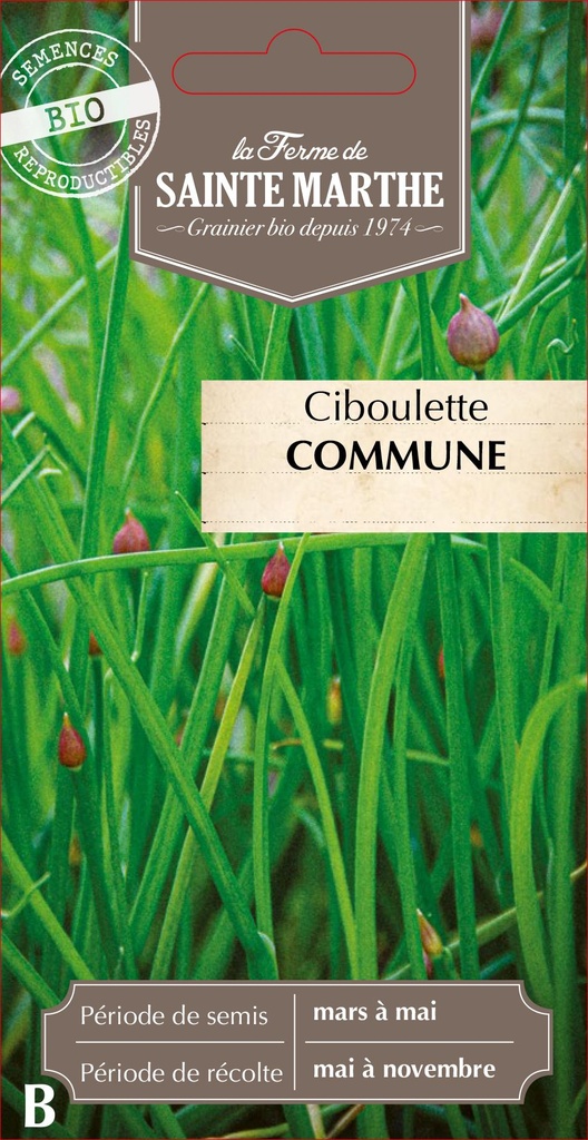 Ciboulette Commune