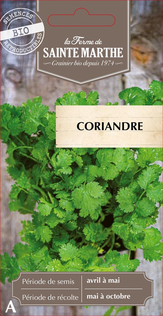Coriandre