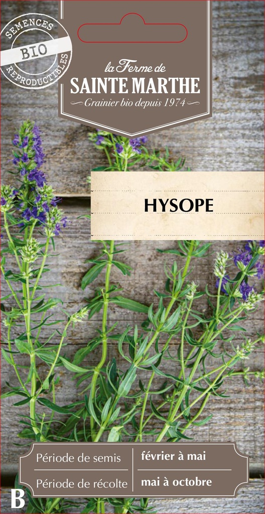 Hysope