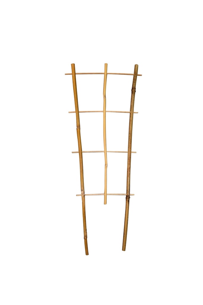 Tuteurs Echelle Bambou Dia 8 -12 Mm X H. 35 Cm (Lot De 2)