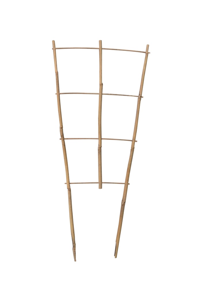 Tuteurs Echelle Bambou Dia 8 -12 Mm X H. 60 Cm (Lot De 2)