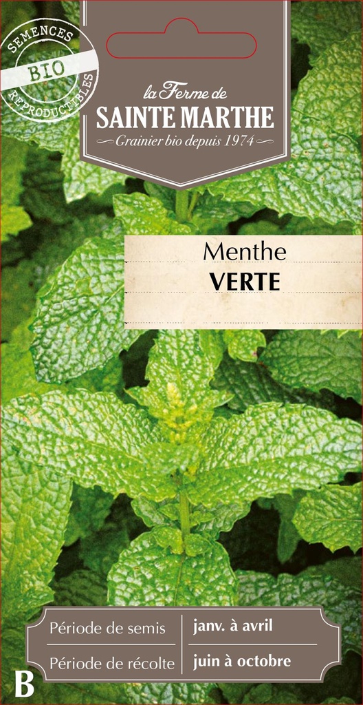 Menthe Verte
