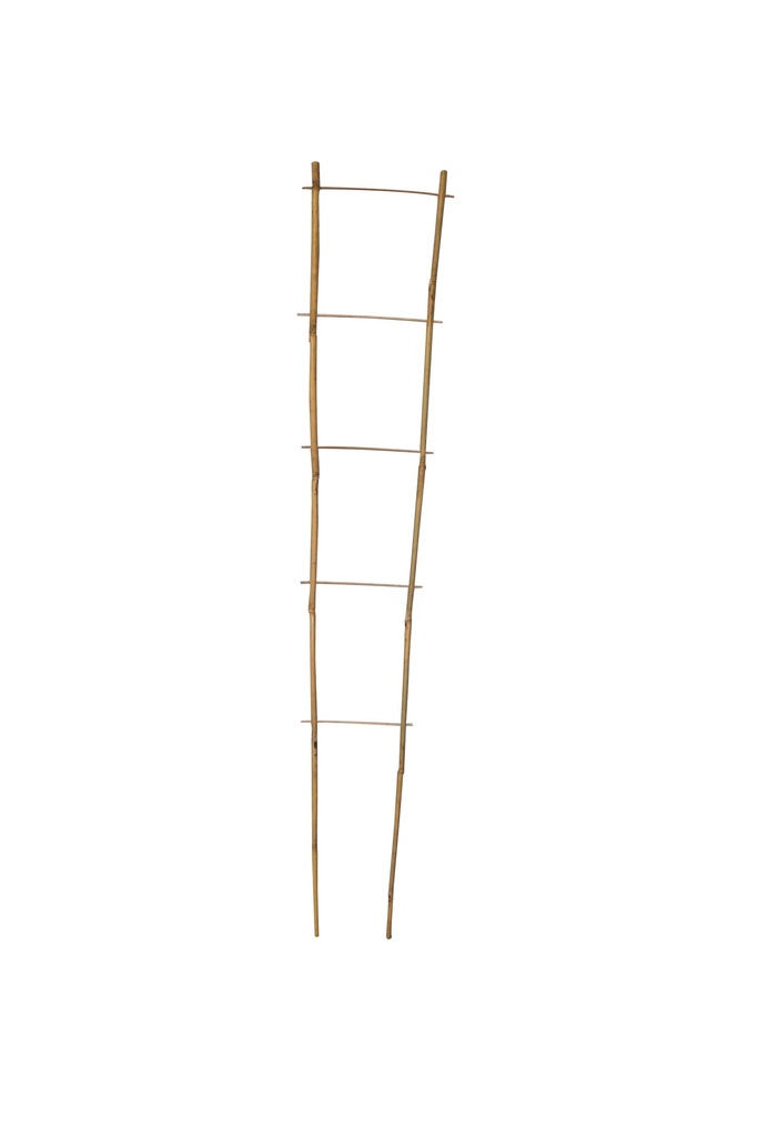 Tuteurs Echelle Bambou Dia 8 -14 Mm X H. 90 Cm (À L'Unité)