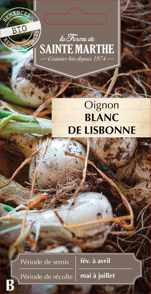 Oignon Blanc De Lisbonne