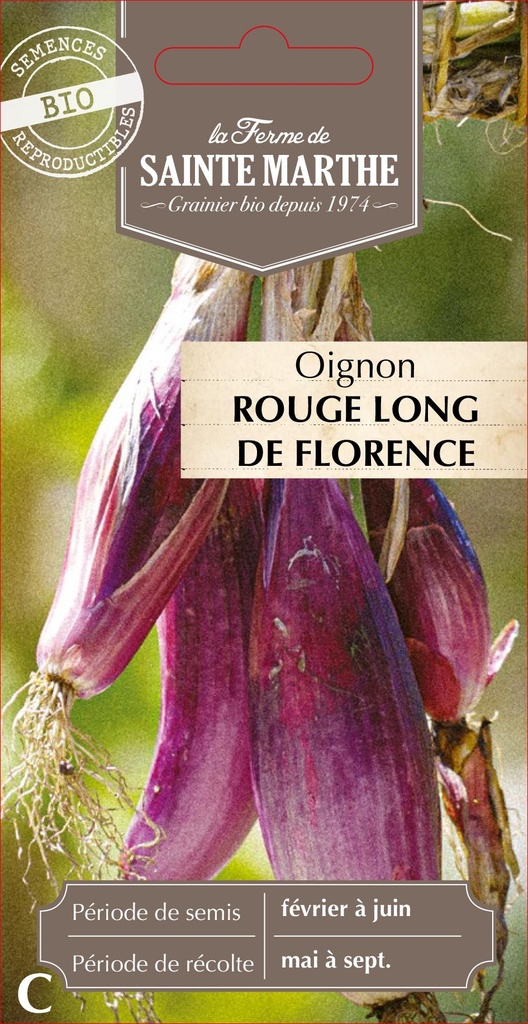 Oignon Rouge Long De Florence