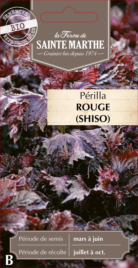 Périlla Rouge Ou Shiso
