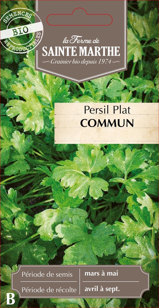Persil Plat Commun 2