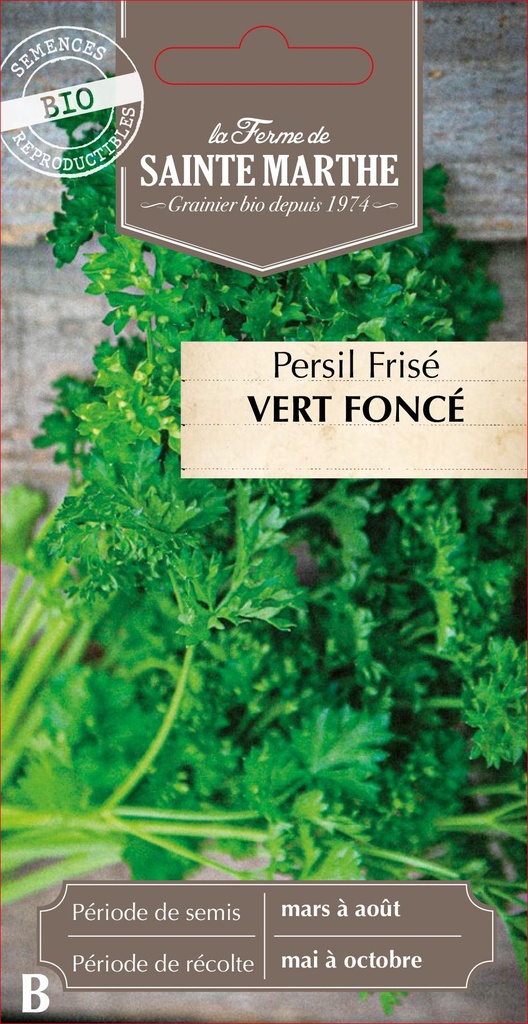 Persil Frisé Vert Foncé