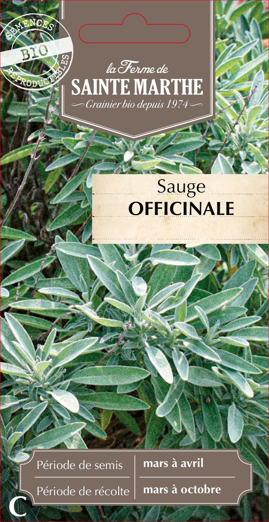 Sauge Officinale