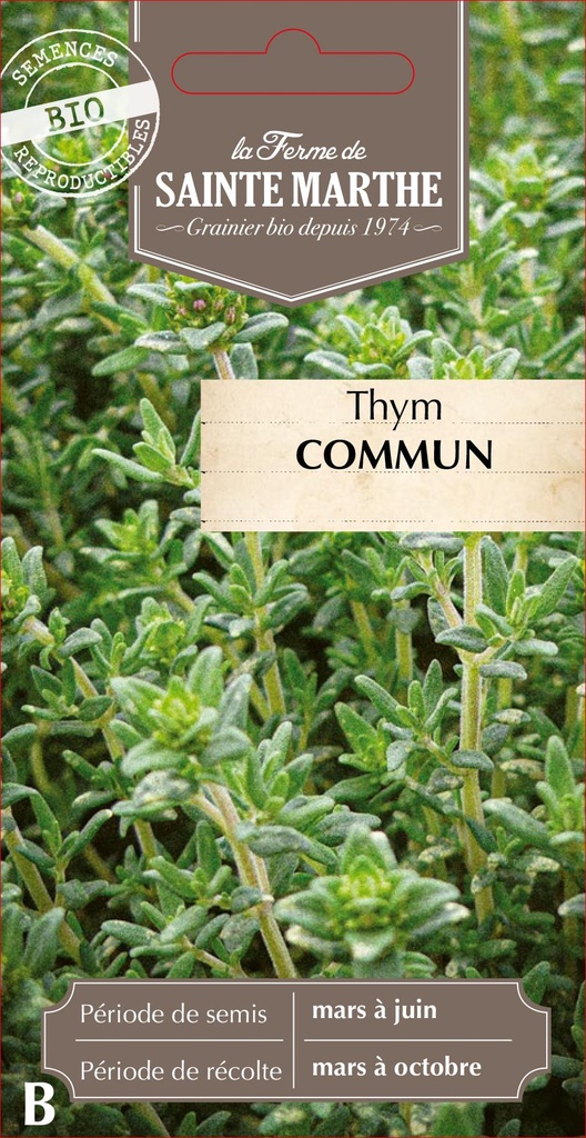 Thym Commun