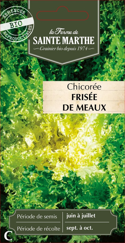 Chicorée Frisée De Meaux