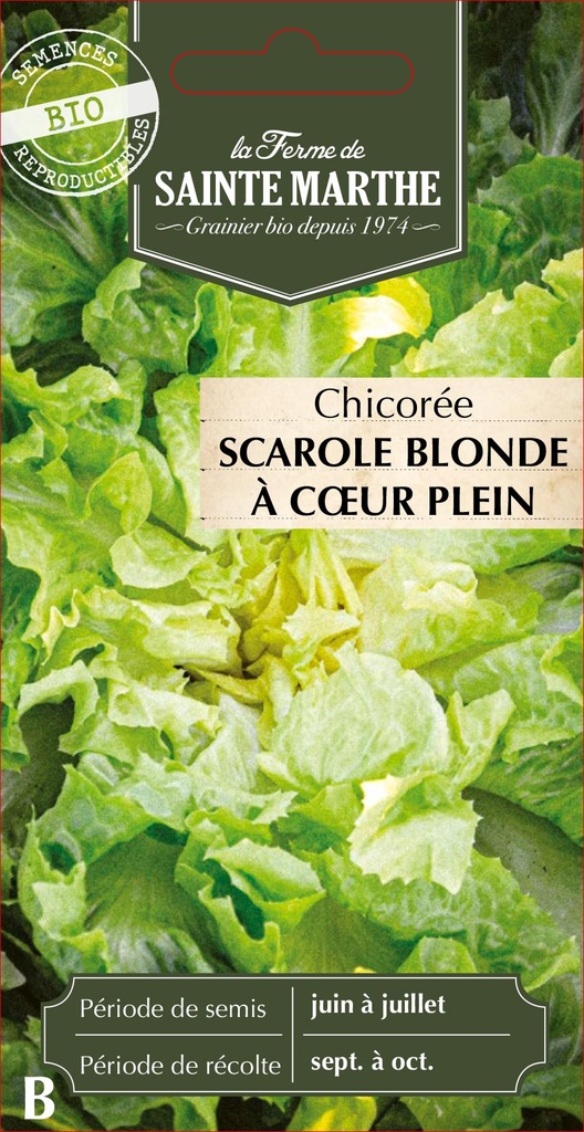 Chicorée Scarole Blonde À Cœur Plein